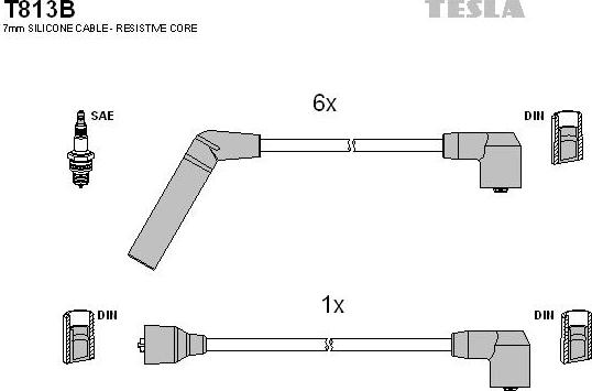 TESLA T813B - Комплект проводів запалювання autocars.com.ua
