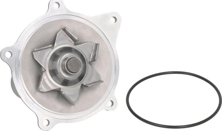 Thermotec D1Y004TT - Водяний насос autocars.com.ua