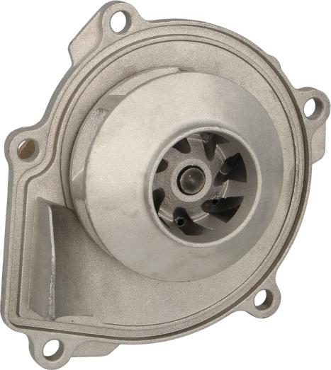 Thermotec D1Y077TT - Водяний насос autocars.com.ua