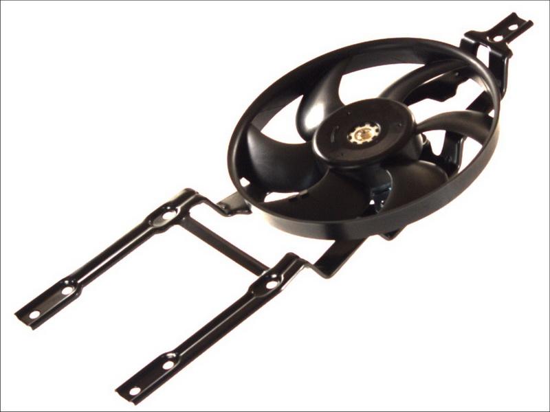 Thermotec D8F001TT - Вентилятор, охолодження двигуна autocars.com.ua