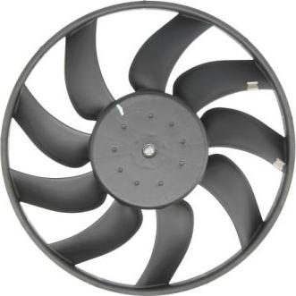 Thermotec D8X021TT - Вентилятор, охлаждение двигателя autodnr.net