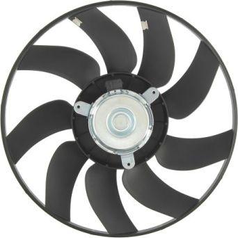 Thermotec D8X021TT - Вентилятор, охолодження двигуна autocars.com.ua