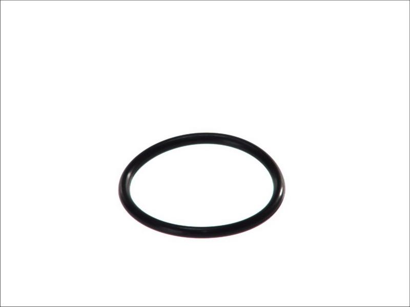 Topran 100 618 - Прокладка, термостат autocars.com.ua