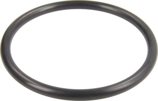 Topran 113 883 - Прокладка, корпус повітряного фільтра autocars.com.ua