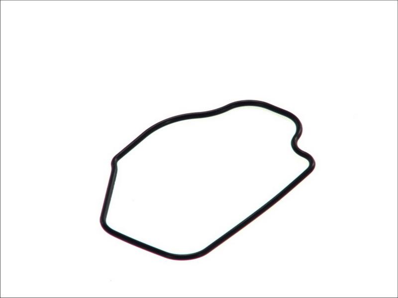 Topran 202 330 - Прокладка, термостат autocars.com.ua