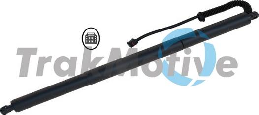 TrakMotive 60-0029 - Електромотор, задні двері autocars.com.ua