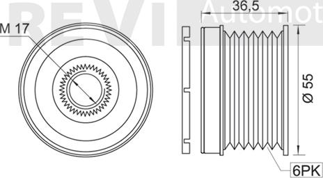 Trevi Automotive AP1058 - Ремінний шків, генератор autocars.com.ua