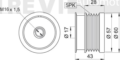 Trevi Automotive AP1131 - Ремінний шків, генератор autocars.com.ua