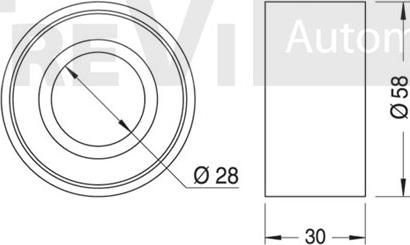 Trevi Automotive TD1609 - Направляющий ролик, зубчатый ремень autodnr.net