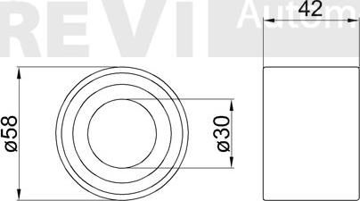 Trevi Automotive WB1242 - Комплект подшипника ступицы колеса autodnr.net