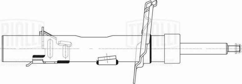 Trialli AG 10193 - Амортизатор autocars.com.ua