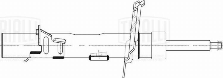 Trialli AG 10394 - Амортизатор autocars.com.ua