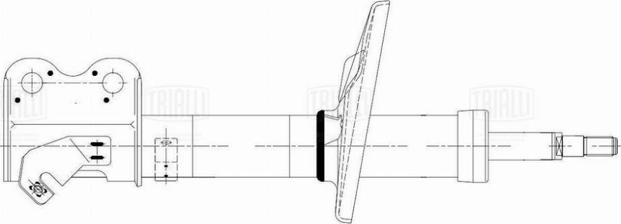 Trialli AG 19168 - Амортизатор autodnr.net