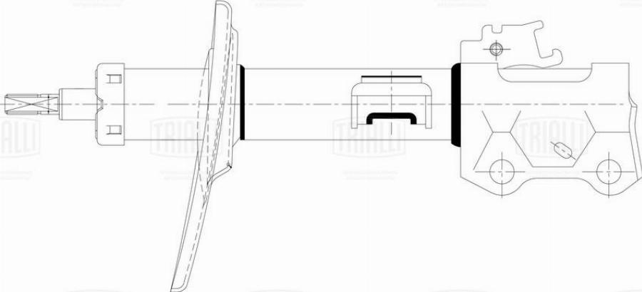 Trialli AG 19365 - Амортизатор avtokuzovplus.com.ua