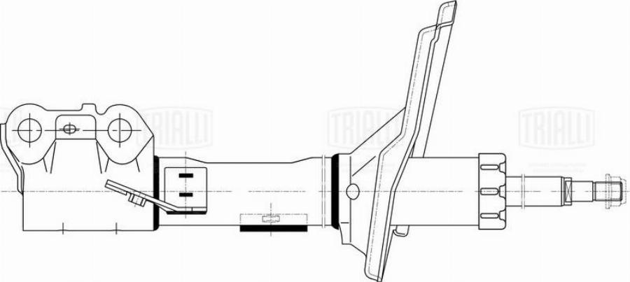 Trialli AG 19384 - Амортизатор autocars.com.ua