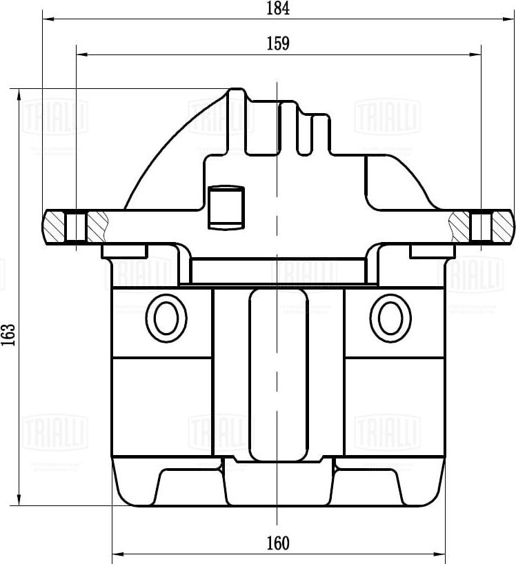 Trialli CF 012104 - Тормозной суппорт avtokuzovplus.com.ua