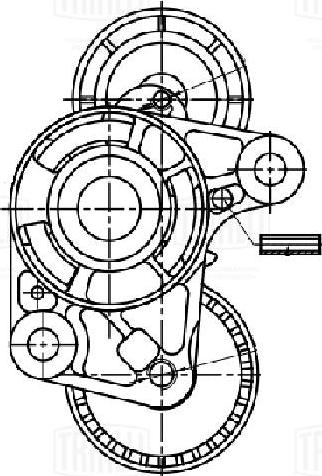 Trialli CM 3017 - Натяжитель, поликлиновый ремень avtokuzovplus.com.ua