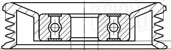 Trialli CM 5078 - Направляющий ролик, поликлиновый ремень autodnr.net
