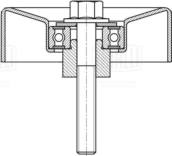 Trialli CM 5096 - Направляющий ролик, поликлиновый ремень avtokuzovplus.com.ua