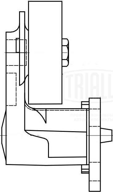 Trialli CM 5106 - Паразитний / провідний ролик, поліклиновий ремінь autocars.com.ua