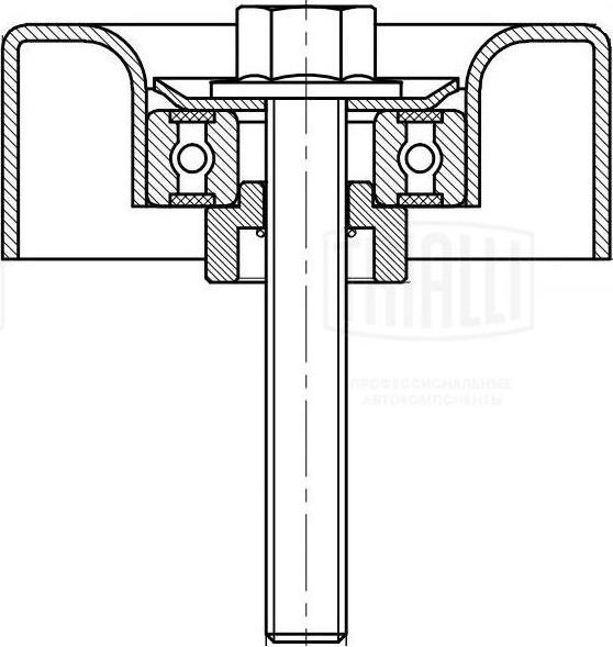 Trialli CM 5125 - Направляющий ролик, поликлиновый ремень avtokuzovplus.com.ua