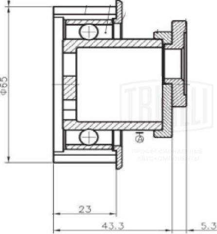 Trialli CM 5207 - Натяжна ролик, ремінь ГРМ autocars.com.ua