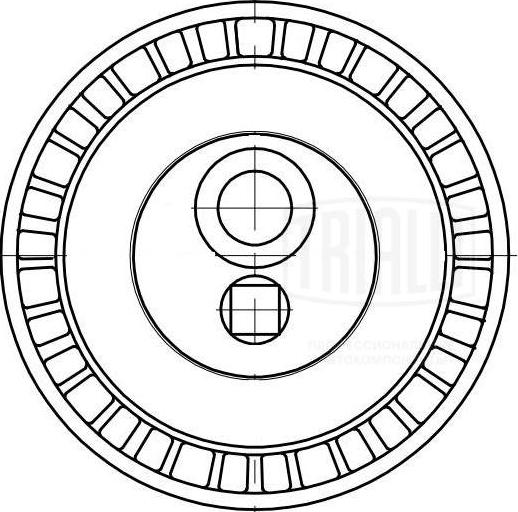 Trialli CM 5315 - Направляющий ролик, поликлиновый ремень avtokuzovplus.com.ua