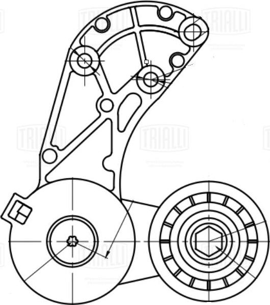 Trialli CM 5378 - Натяжитель, поликлиновый ремень autodnr.net