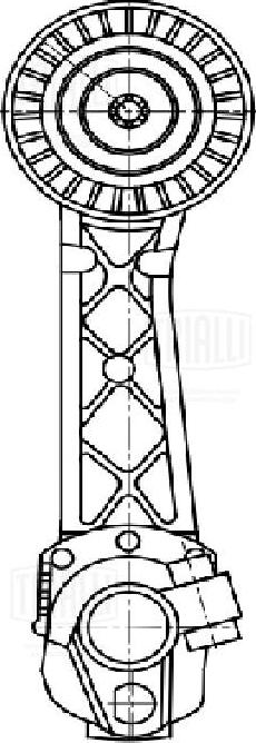 Trialli CM 5473 - Натяжитель, поликлиновый ремень avtokuzovplus.com.ua