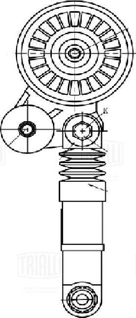 Trialli CM 5498 - Натяжитель, поликлиновый ремень avtokuzovplus.com.ua