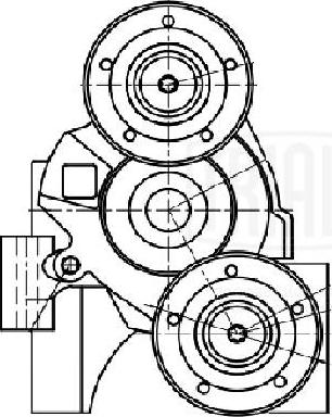 Trialli CM 5623 - Натягувач ременя, клинові зуб. autocars.com.ua