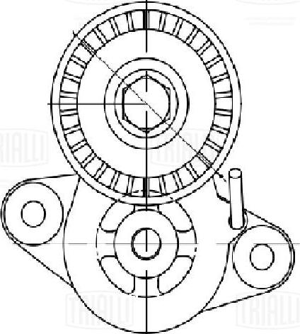 Trialli CM 5673 - Натяжитель, поликлиновый ремень avtokuzovplus.com.ua