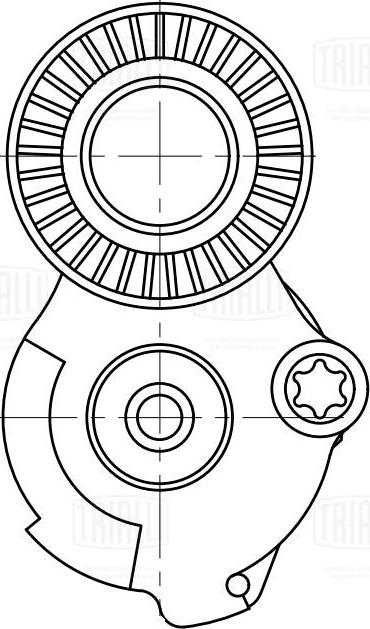 Trialli CM 5790 - Натяжитель, поликлиновый ремень avtokuzovplus.com.ua