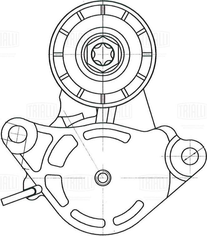 Trialli CM 5842 - Натяжитель, поликлиновый ремень autodnr.net