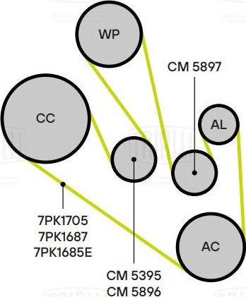 Trialli CM 5896 - Натяжитель, поликлиновый ремень avtokuzovplus.com.ua