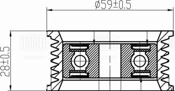 Trialli CM 5976 - Натягувач ременя, клинові зуб. autocars.com.ua