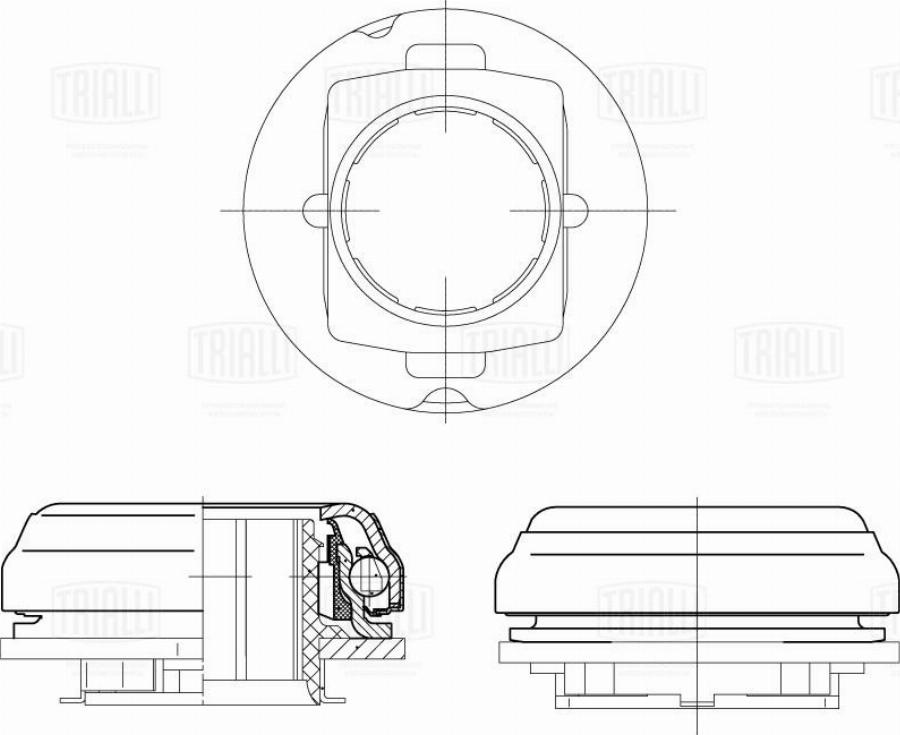 Trialli CT 2001 - Вичавний підшипник autocars.com.ua