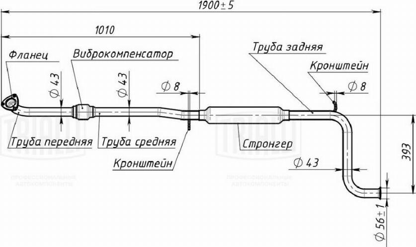 Trialli EAM 1202 - Предглушітель вихлопних газів autocars.com.ua