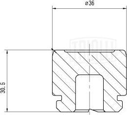 Trialli RCF 032009P - Поршень, корпус скобы тормоза avtokuzovplus.com.ua