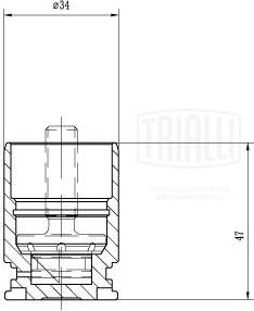 Trialli RCF 032116 - Поршень, корпус скобы тормоза avtokuzovplus.com.ua