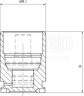 Trialli RCF 103564 - Поршень, корпус скобы тормоза autodnr.net