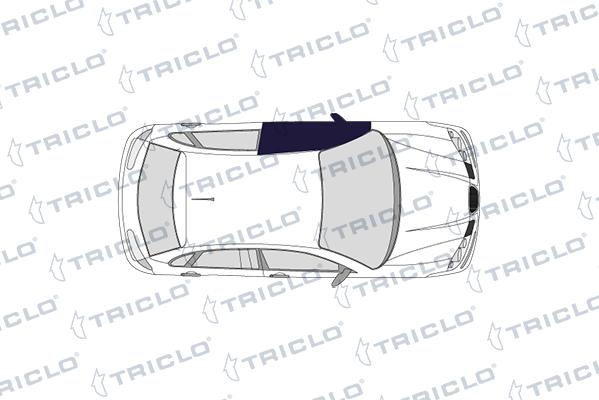 Triclo 144101 - Вимикач, стеклолод'емнік autocars.com.ua