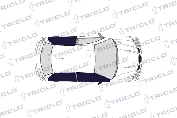Triclo 145145 - Вимикач, стеклолод'емнік autocars.com.ua