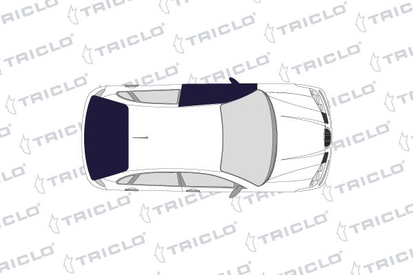 Triclo 121889 - Ручка двері autocars.com.ua