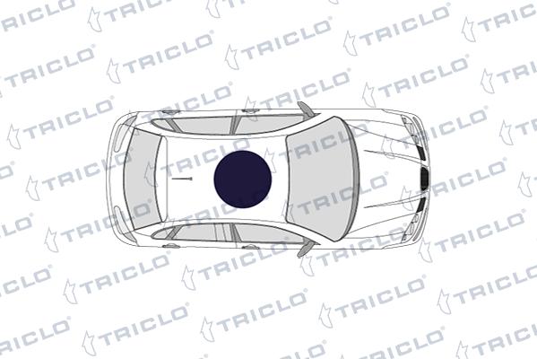 Triclo 145259 - Вимикач, регулювання зе autocars.com.ua