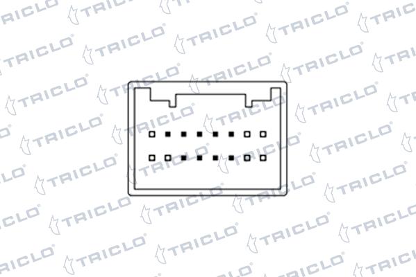 Triclo 143063 - Вимикач, стеклолод'емнік autocars.com.ua