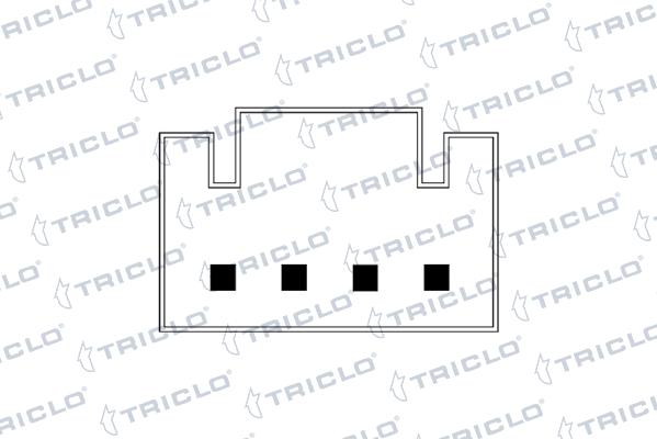 Triclo 143070 - Вимикач, стеклолод'емнік autocars.com.ua