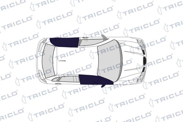 Triclo 146099 - Вимикач, стеклолод'емнік autocars.com.ua