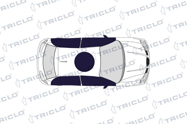 Triclo 148204 - Вимикач, стеклолод'емнік autocars.com.ua