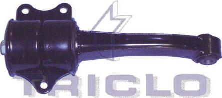 Triclo 363914 - Подушка, опора, подвеска двигателя autodnr.net